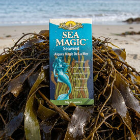 Sea Magic Fertilizer, Fertilizers